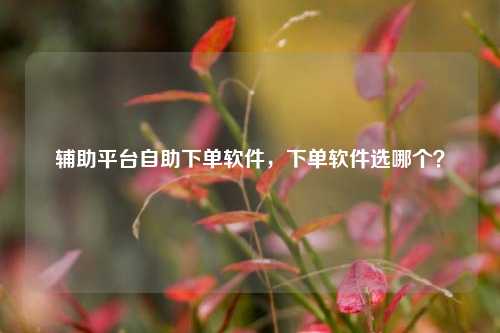 辅助平台自助下单软件，下单软件选哪个？