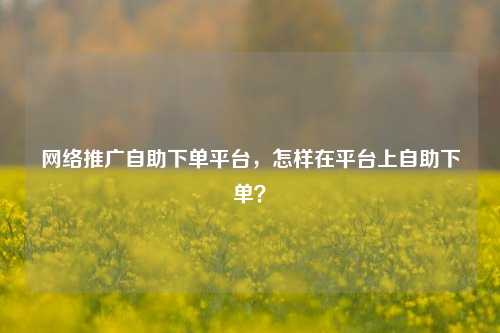 网络推广自助下单平台，怎样在平台上自助下单？