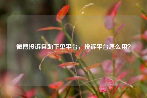 微博投诉自助下单平台，投诉平台怎么用？