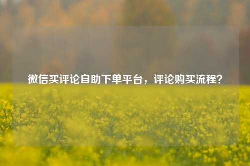 微信买评论自助下单平台，评论购买流程？