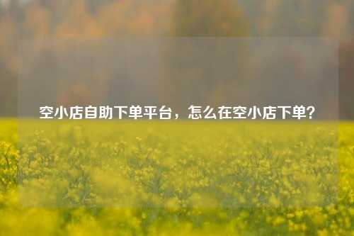 空小店自助下单平台，怎么在空小店下单？
