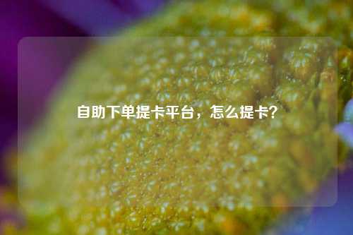 自助下单提卡平台，怎么提卡？