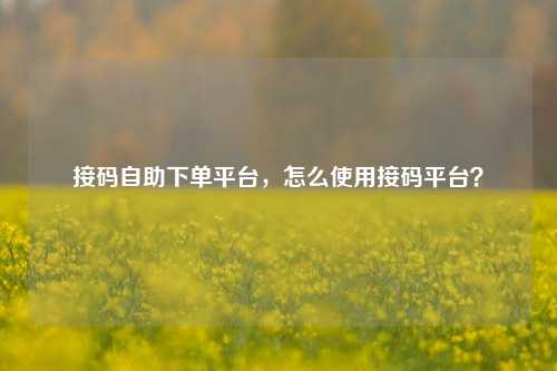 接码自助下单平台，怎么使用接码平台？
