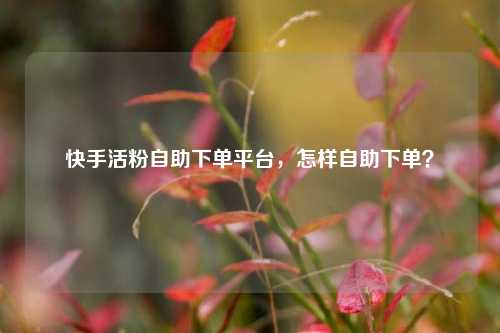 快手活粉自助下单平台，怎样自助下单？