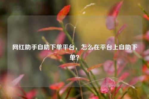 网红助手自助下单平台，怎么在平台上自助下单？