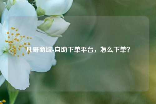 凡哥商城-自助下单平台，怎么下单？