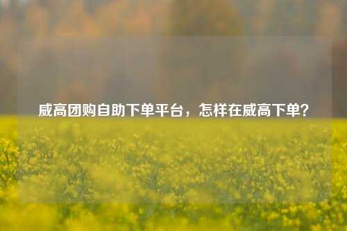 威高团购自助下单平台，怎样在威高下单？