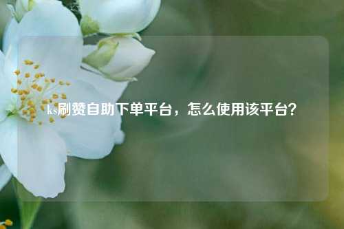 ks刷赞自助下单平台，怎么使用该平台？