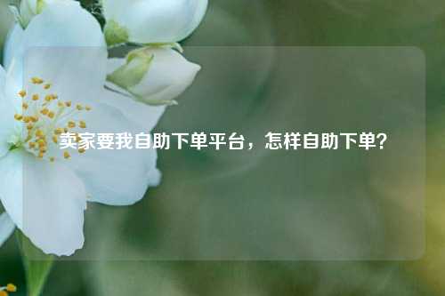 卖家要我自助下单平台，怎样自助下单？
