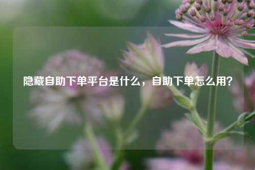 隐藏自助下单平台是什么，自助下单怎么用？