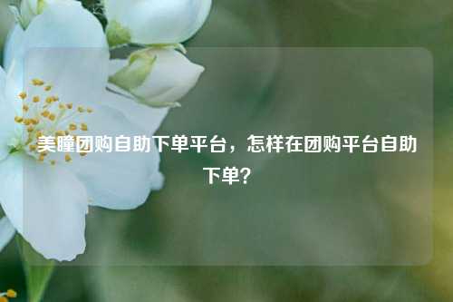 美瞳团购自助下单平台，怎样在团购平台自助下单？
