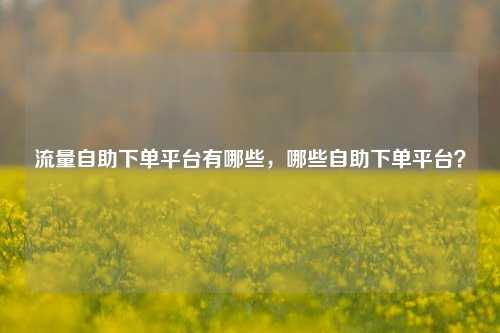 流量自助下单平台有哪些，哪些自助下单平台？