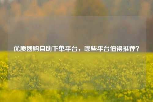 优质团购自助下单平台，哪些平台值得推荐？