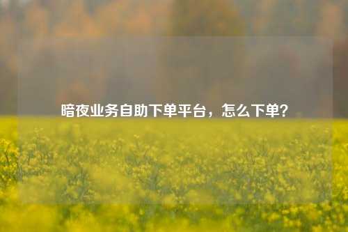 暗夜业务自助下单平台，怎么下单？