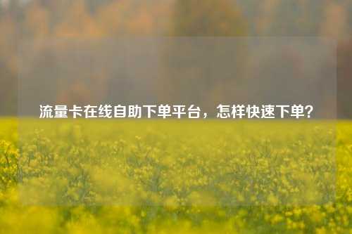 流量卡在线自助下单平台，怎样快速下单？
