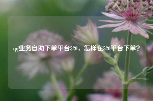qq业务自助下单平台520，怎样在520平台下单？