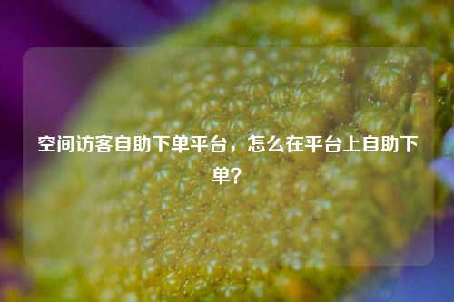 空间访客自助下单平台，怎么在平台上自助下单？