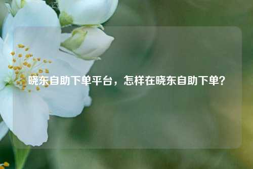 晓东自助下单平台，怎样在晓东自助下单？