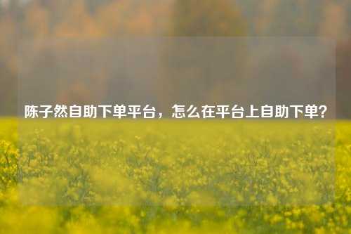 陈子然自助下单平台，怎么在平台上自助下单？